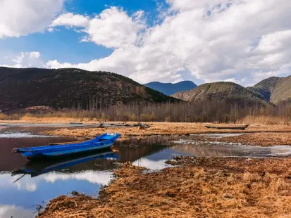 Bobby Casino Mobile App